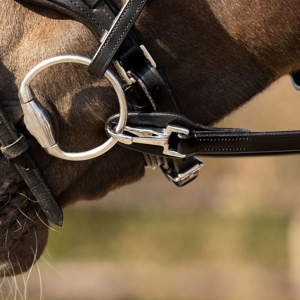 QHP Enhånds tøyle< Tøyler