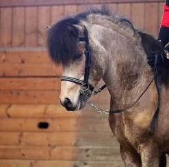 Eques Bølgeformet Pannereim med Svarte og Hvite Krystaller< Islandshest Hodelag