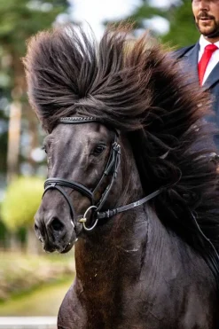 Eques Bølgeformet Pannereim med Store e Krystaller< Islandshest Hodelag