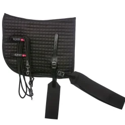 Eques Core trainer Longering System< Longering