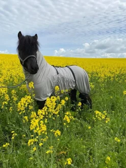 Eques eksemdekken< Insektsdekken