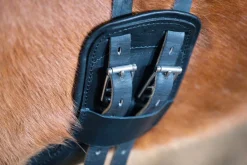 Eques Flex Balance Gjord< Islandshest Gjord