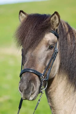 Eques Hannoveransk Nesereim med Månestein Krystaller< Islandshest Hodelag