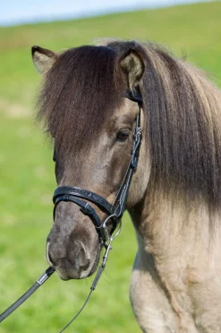 Eques Kombinert Nesereim med Månestein Krystaller< Islandshest Hodelag