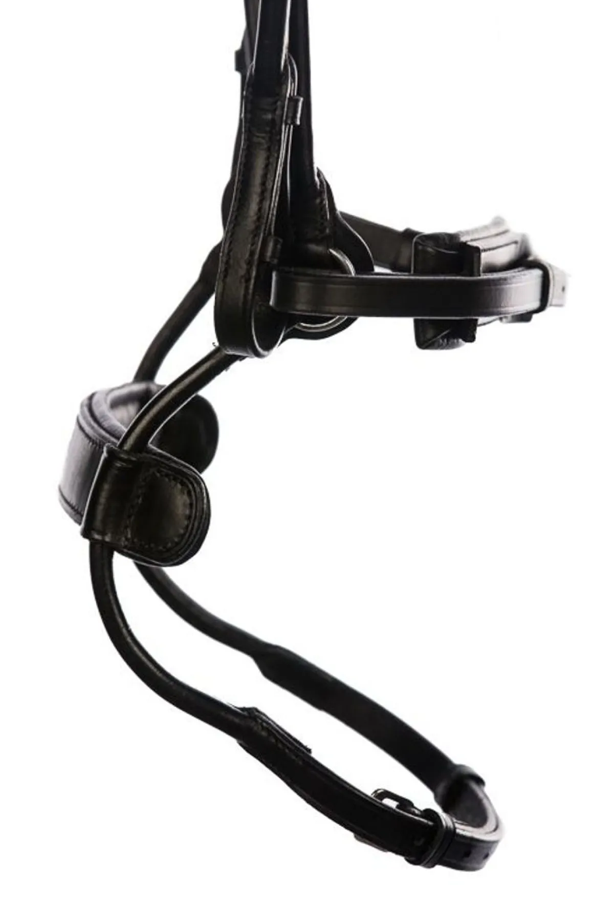 Eques Step Up Hodelag< Islandshest Hodelag