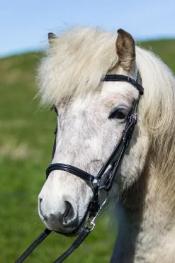 Eques V-formet Pannebånd i Lær< Pannebånd