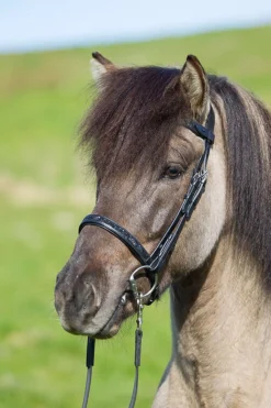 Eques V-formet Pannebånd med Månesten Krystaller< Pannebånd