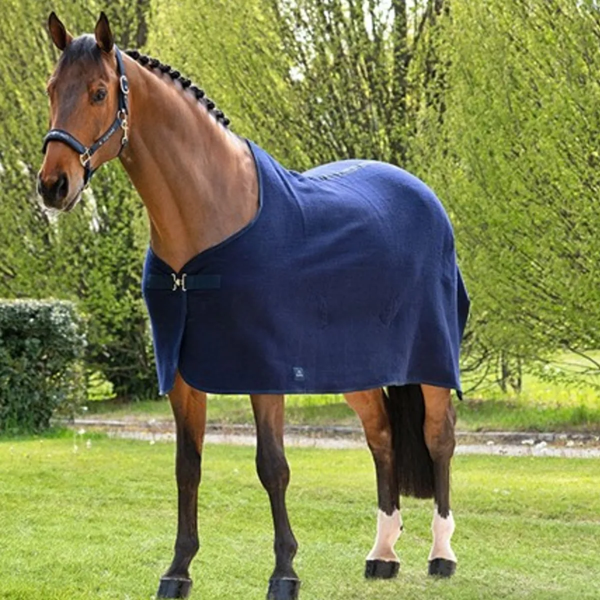 Equiline Ulldekken m/avtagbar gjord< Ulldekken