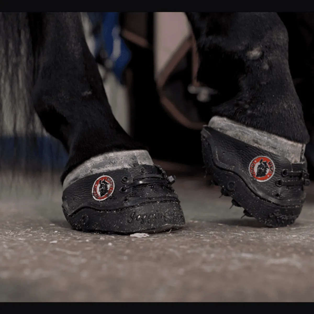 Equine Fusion 24/7 Jogging Limsko< Boots