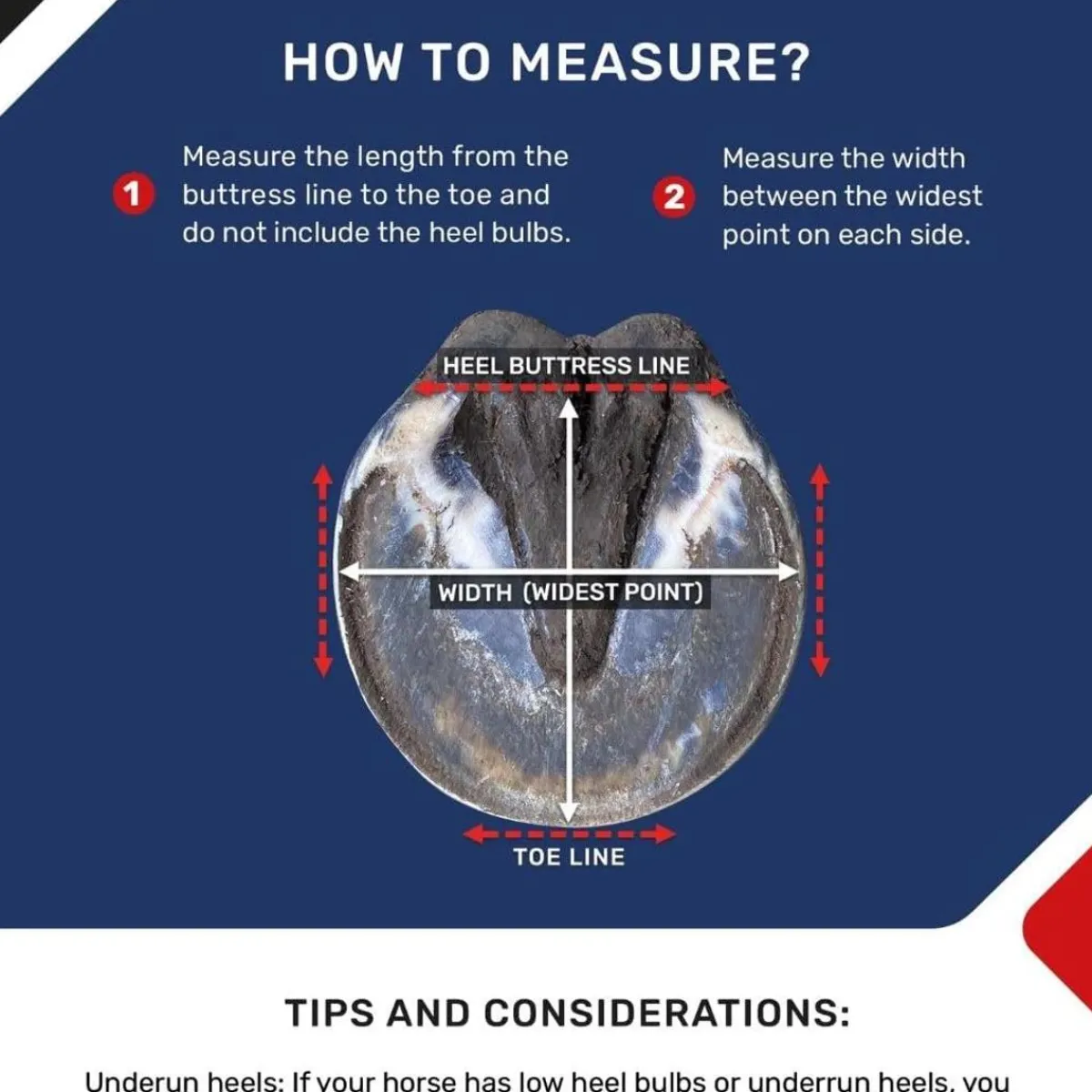 Equine Fusion 24/7 Jogging Limsko< Boots