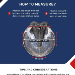 Equine Fusion Trekking Shoe< Boots