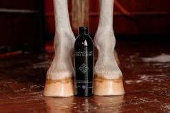 Grooming Deluxe Almond Gloss Purple Shampo< Pelspleie