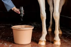 Grooming Deluxe Almond Gloss Purple Shampo< Pelspleie