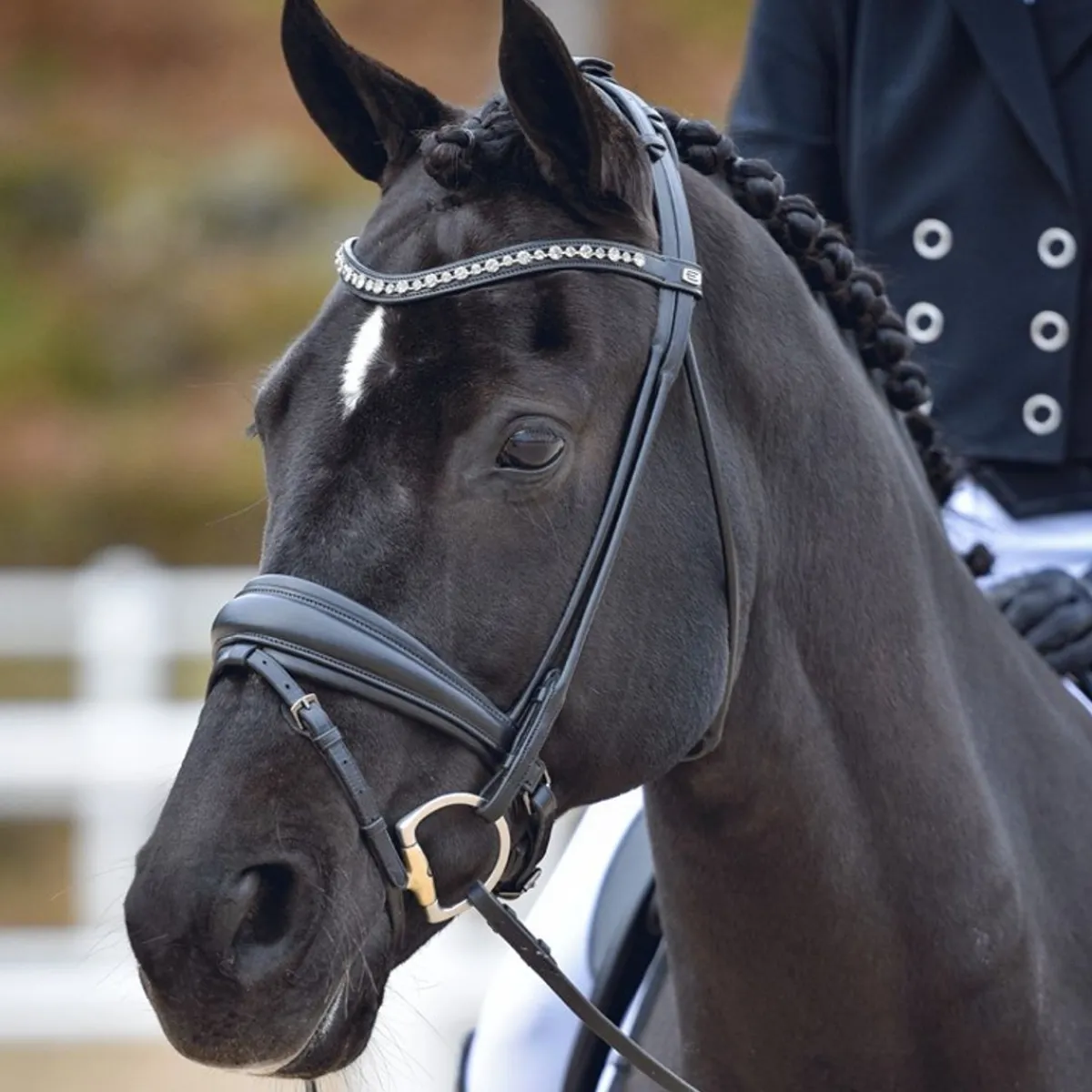 By Equalityline Hamilton Rundsydd Dressur Hodelag< Hodelag