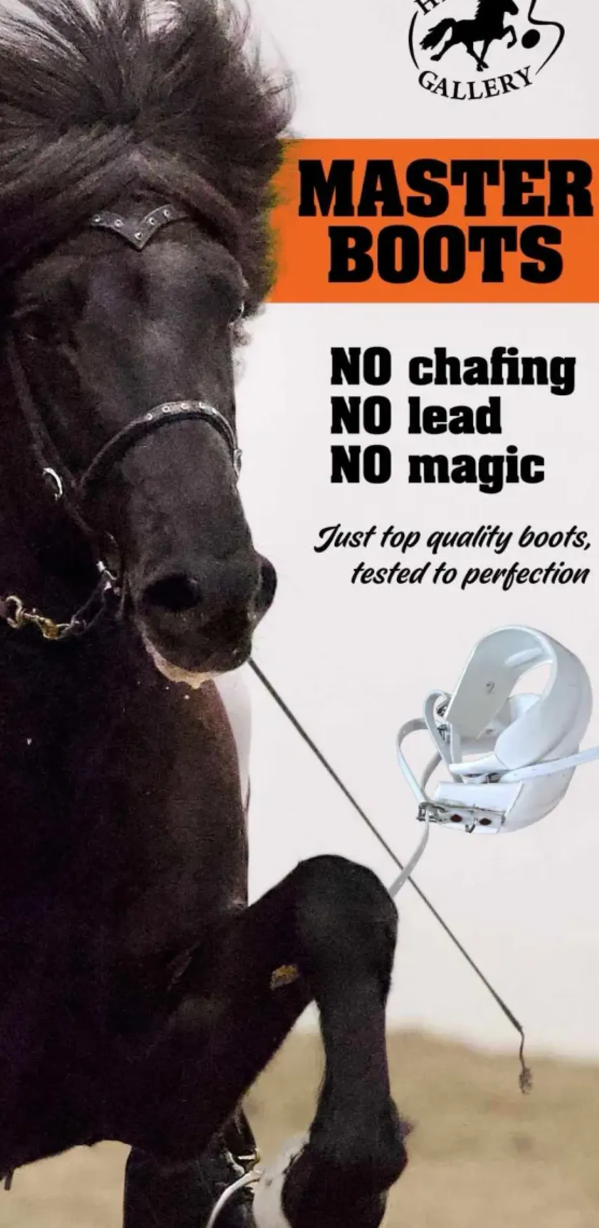 Hestagallery Master Boots< Islandshest Belegg