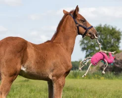 QHP Hesteleke - Enhjørning< Hesteleker