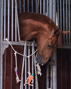 QHP Hesteleke oppheng< Hesteleker