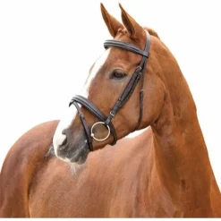 Horseguard HG Ayal Hodelag< Hodelag