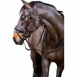 Horseguard HG Hodelag Ergo< Hodelag