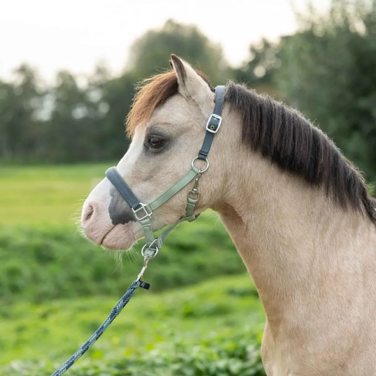 HKM Barnie Grime< Nylongrimer