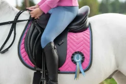 HKM Nele Sprang Schabrak< Sprang Og Allround Schabracker