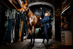 Horseware Ireland Horseware Autumn cooler 50g< Svettedekken