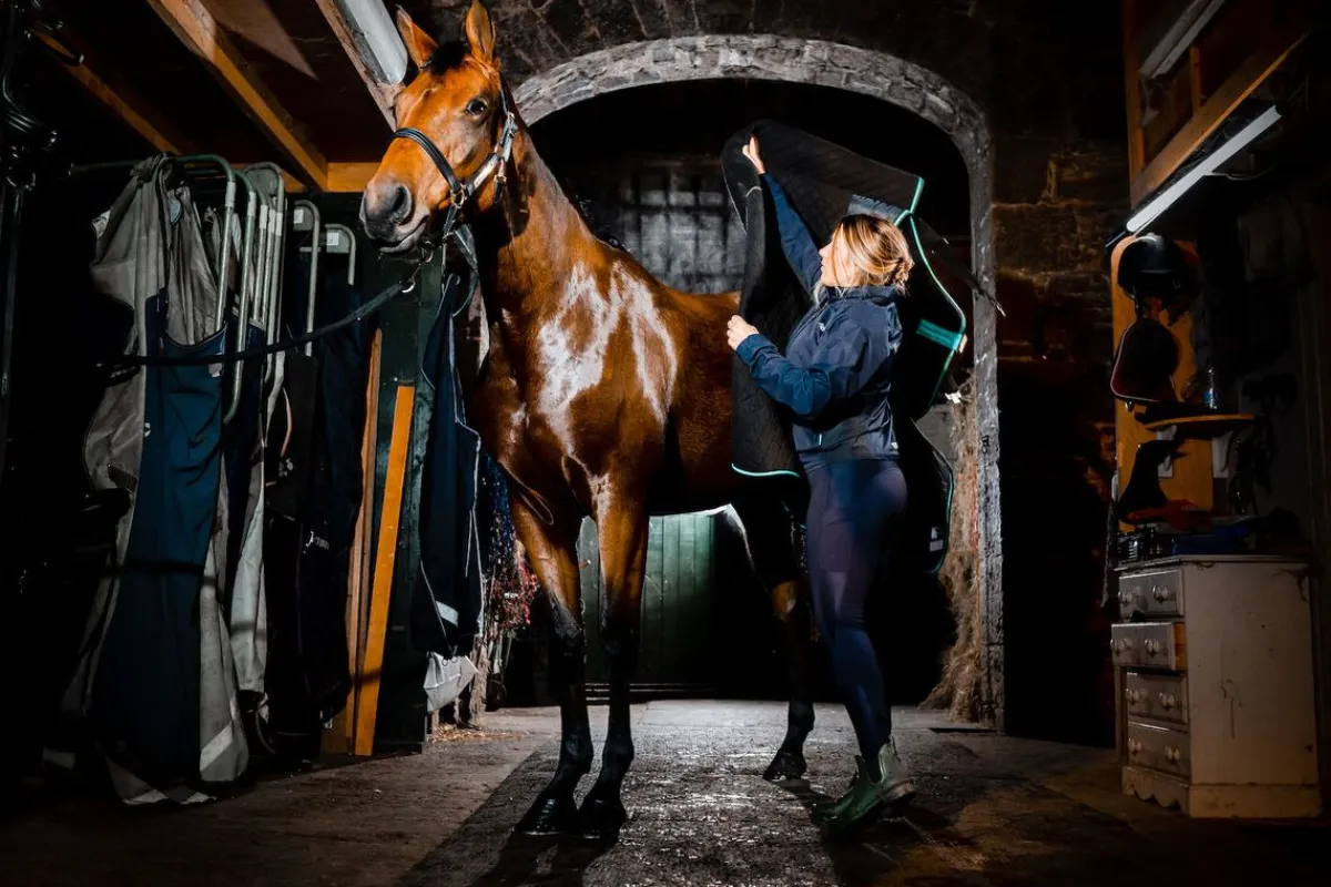 Horseware Ireland Horseware Autumn cooler 50g< Svettedekken