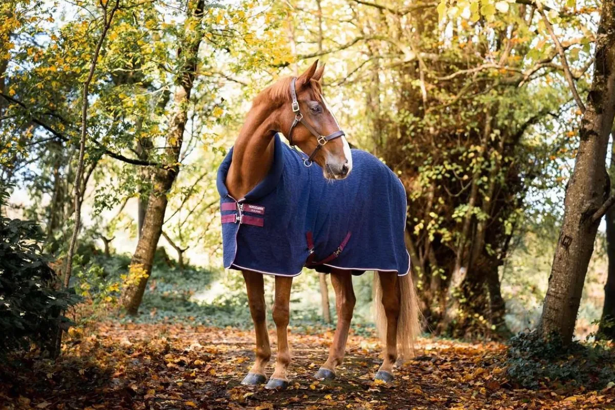 Horseware Ireland Horseware Cosy Neck Cooler HW print< Svettedekken