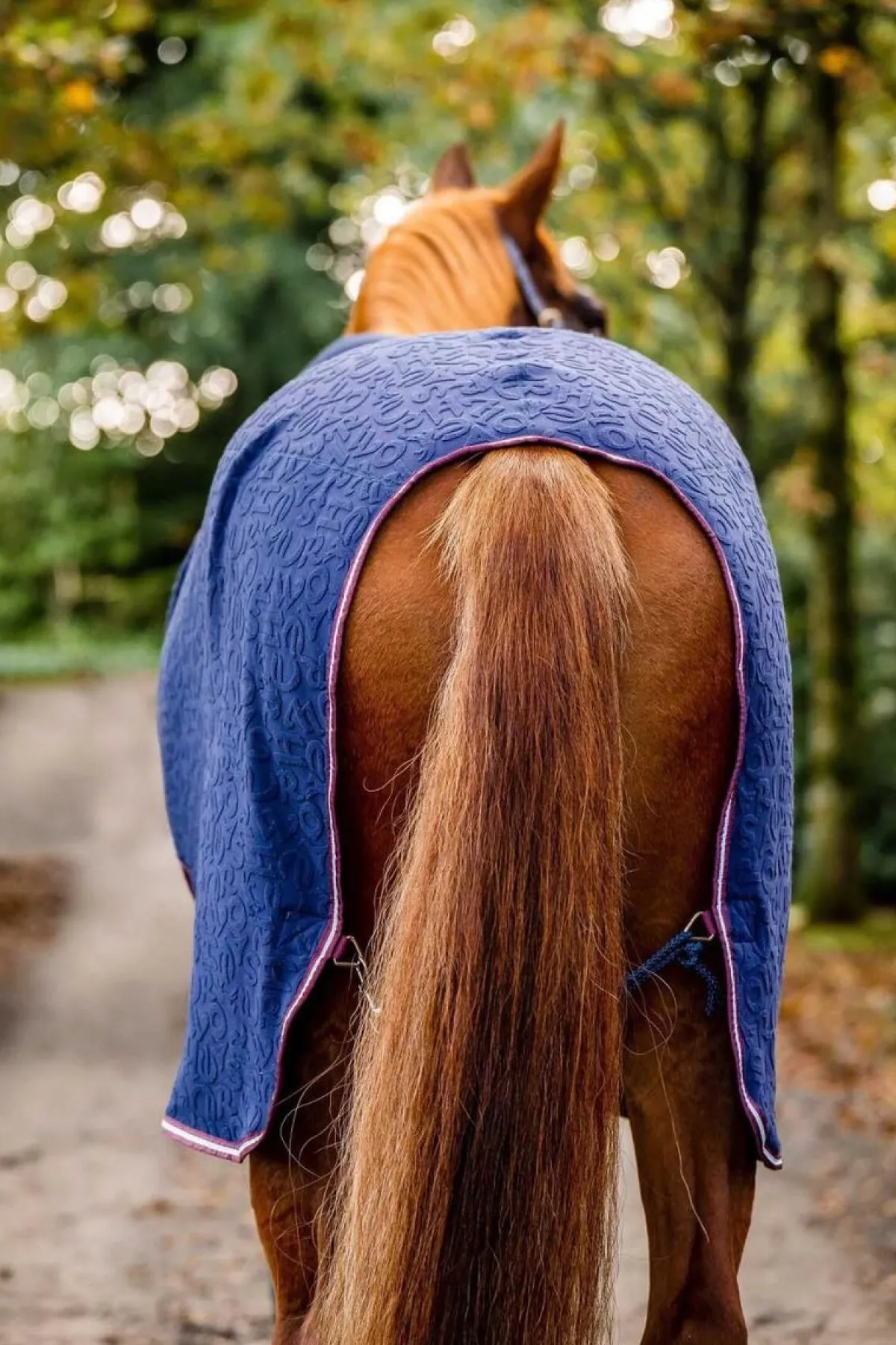 Horseware Ireland Horseware Cosy Neck Cooler HW print< Svettedekken