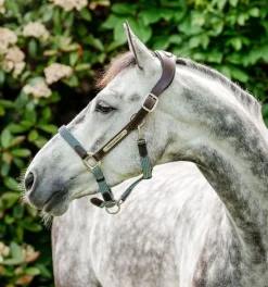 Horseware Ireland Horseware Signature flettet grime - Flere farger< Lærgrimer