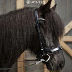 Hrimnir Anatomisk nesereim< Islandshest Hodelag