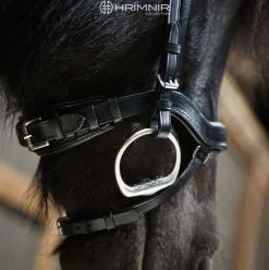 Hrimnir Anatomisk nesereim< Islandshest Hodelag