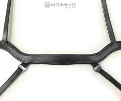 Hrimnir Anatomisk nesereim< Islandshest Hodelag