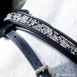 Hrimnir Flash nesereim - Fire & Ice< Islandshest Hodelag