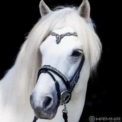 Hrimnir Flash nesereim - Fire & Ice< Islandshest Hodelag