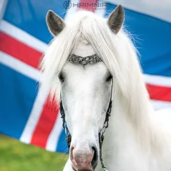 Hrimnir Heritage B Fire&Ice nakkereim< Islandshest Hodelag