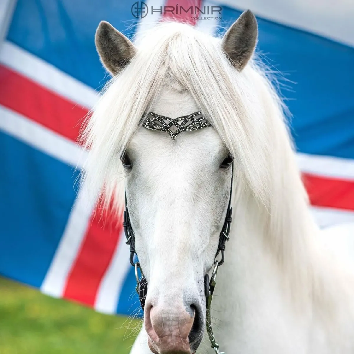 Hrimnir Heritage B Fire&Ice nakkereim< Islandshest Hodelag