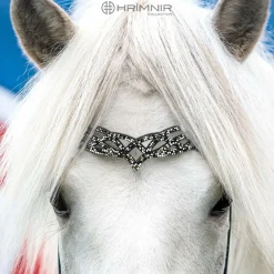 Hrimnir Heritage B Fire&Ice nakkereim< Islandshest Hodelag