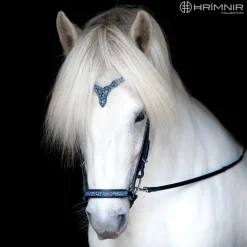 Hrimnir Heritage D Nakkereim - Blue Lagoon< Islandshest Hodelag