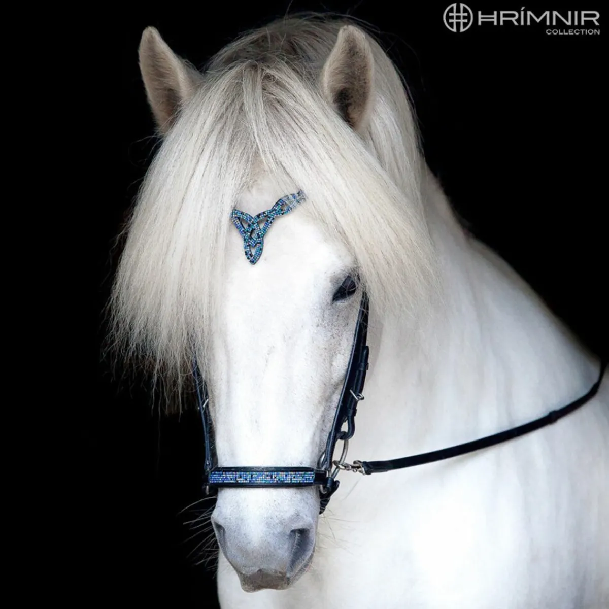 Hrimnir Heritage D Nakkereim - Blue Lagoon< Islandshest Hodelag