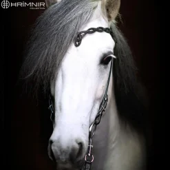 Hrimnir Heritage H - Lava< Islandshest Hodelag