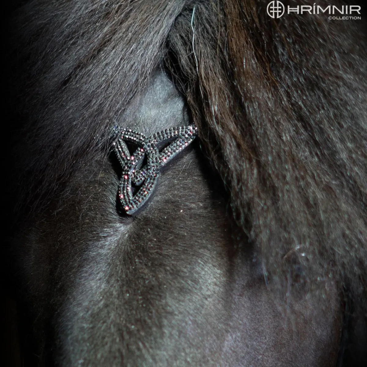 Hrimnir Heritage H - Lava< Islandshest Hodelag