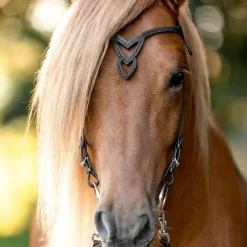 Hrimnir Heritage Nakkereim Unity Lava< Islandshest Hodelag