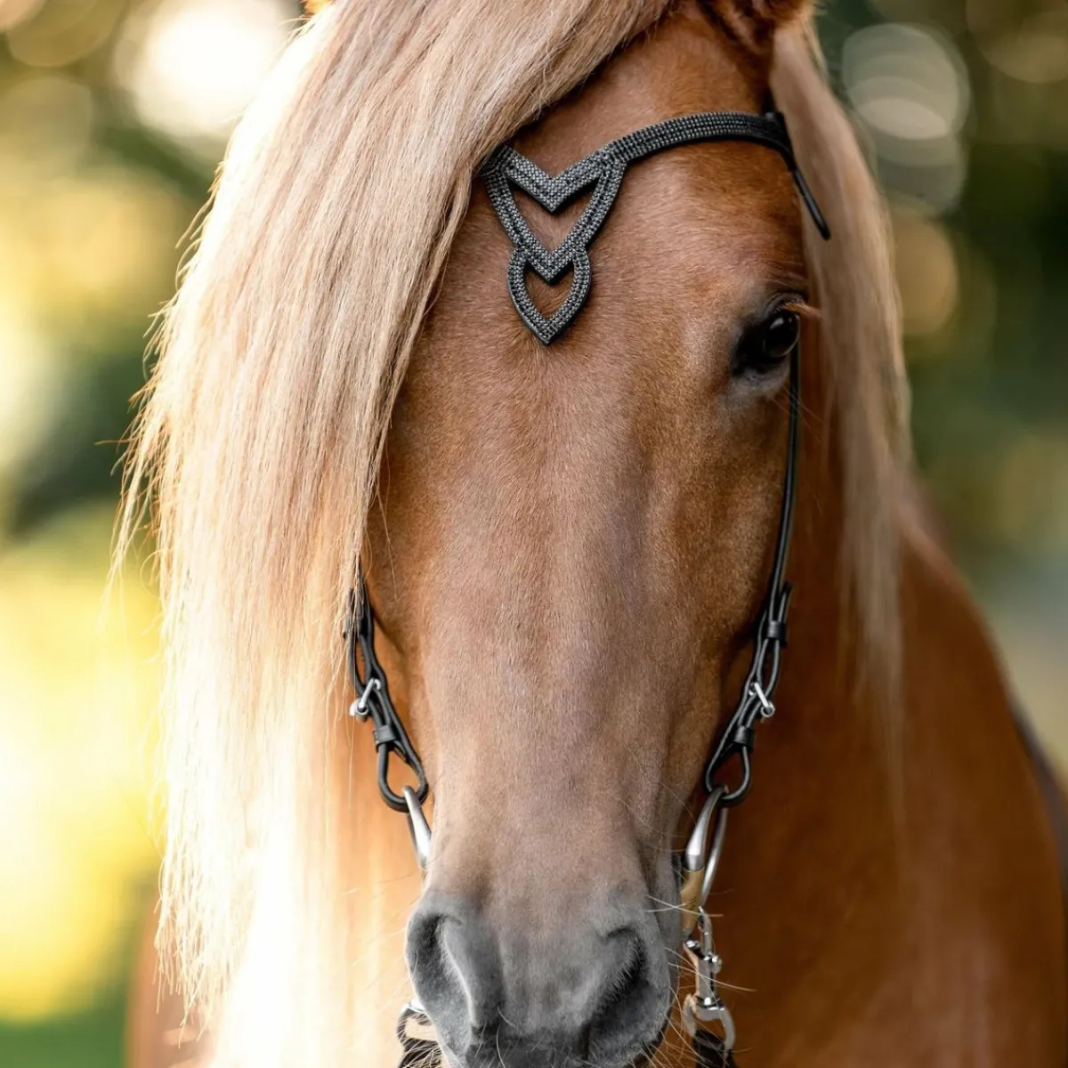 Hrimnir Heritage Nakkereim Unity Lava< Islandshest Hodelag