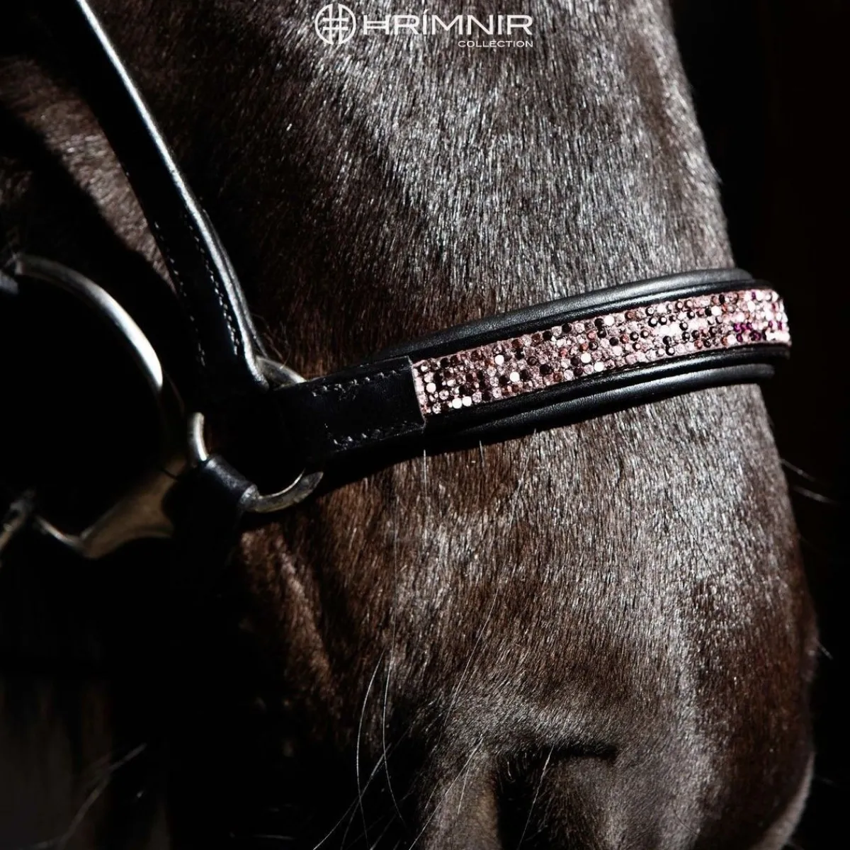 Hrimnir Heritage Sunset Rosa Drop lav nesereim< Islandshest Hodelag