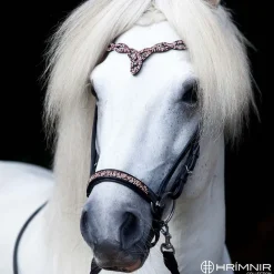 Hrimnir Heritage Sunset Rosa Drop lav nesereim< Islandshest Hodelag