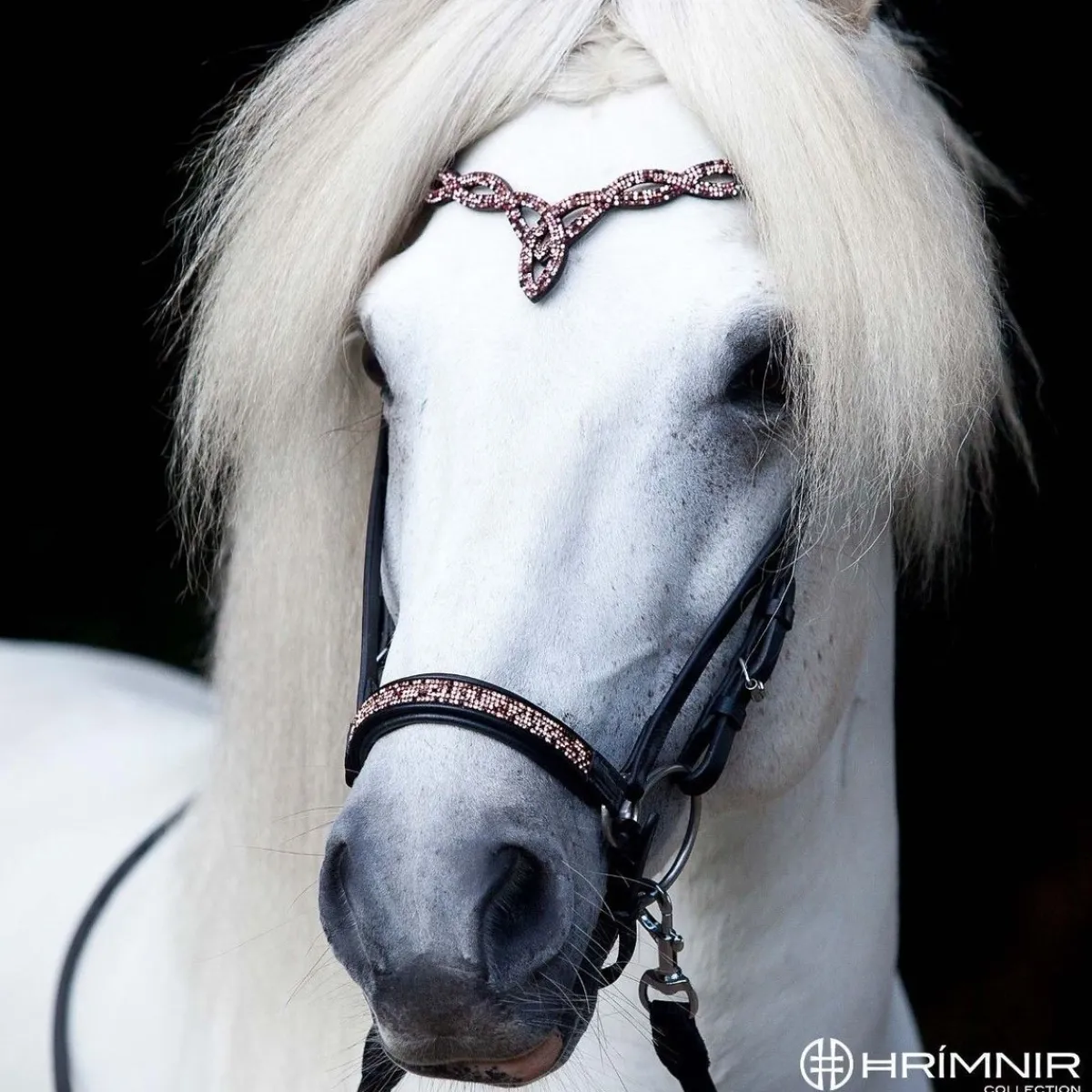 Hrimnir Heritage Sunset Rosa Drop lav nesereim< Islandshest Hodelag