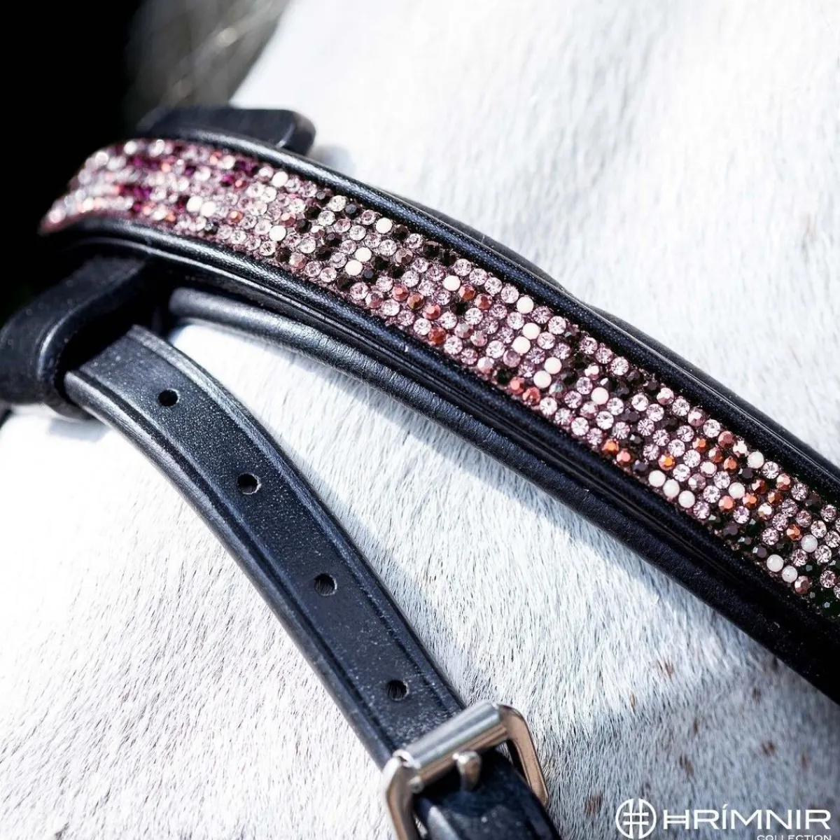 Hrimnir Heritage Sunset Rosa Flash kombinert Nesereim< Islandshest Hodelag