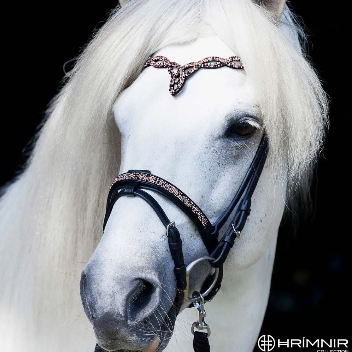 Hrimnir Heritage Sunset Rosa Flash kombinert Nesereim< Islandshest Hodelag