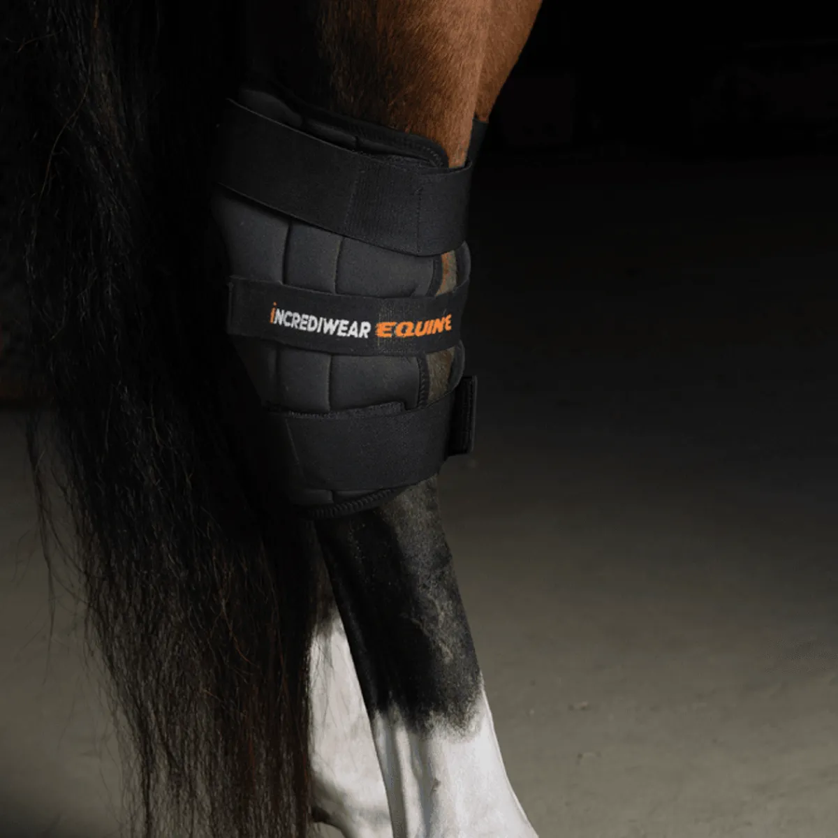 Incrediwear Circulation Hock Boots< Transport Og Stall